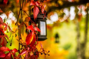 Światło jesienią – jak przygotować oświetlenie na zimę?