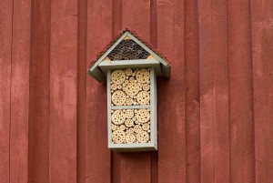 Hotele dla pszczół i owadów zapylających