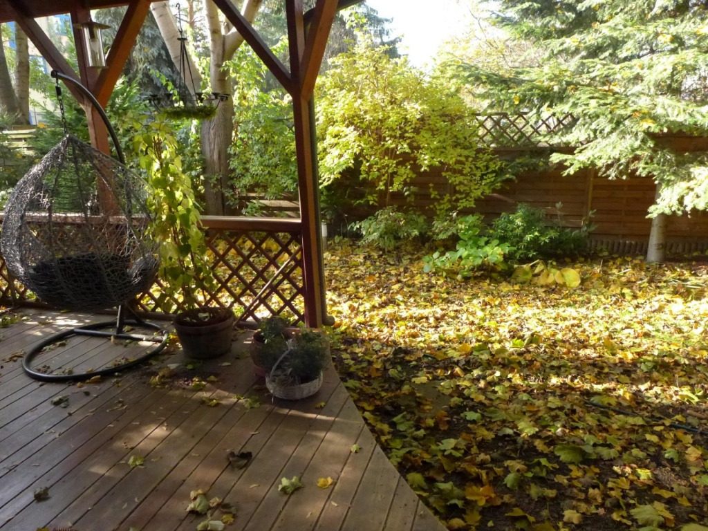 Jesienny ogród – chwilo trwaj!