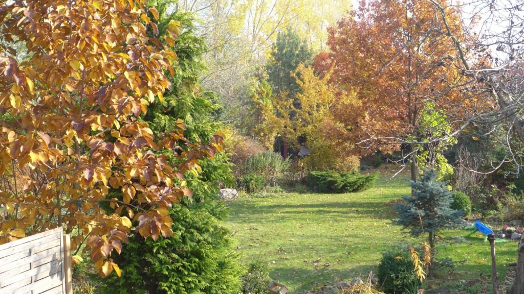 Jesienny ogród – chwilo trwaj! 