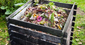 Kompost – nawóz naturalny
