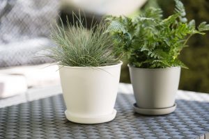 Rośliny w doborowej oprawie – doniczki i osłonki Verdenia