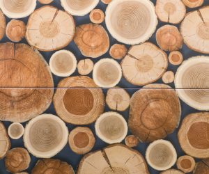 Urok słojów, sęków i spękań – drewno i jego imitacje we wnętrzu