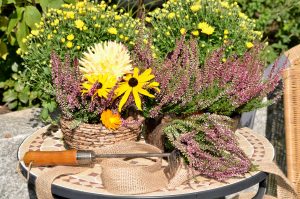 Stoliki do prac ogrodowych