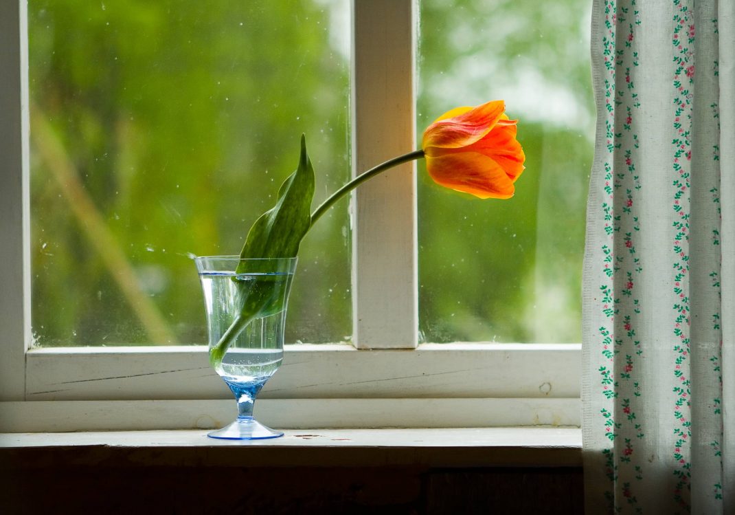 Букет тюльпанов на окне после дождя