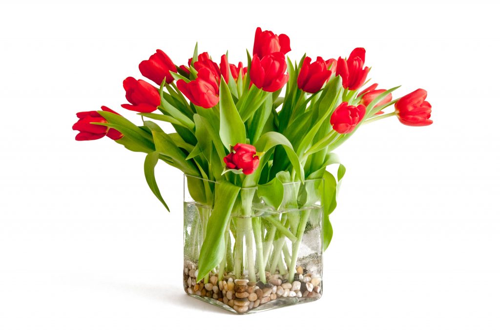 Tulipany w szkle