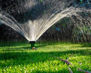 Jak podlać trawnik i się nie napracować