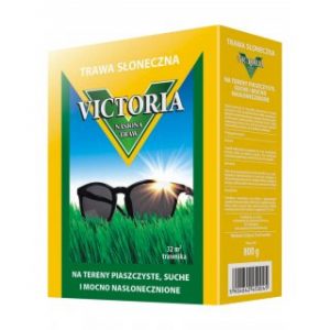 Kupujemy nasiona traw