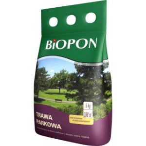 Kupujemy nasiona traw