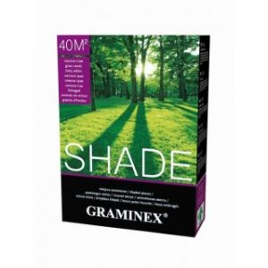 Kupujemy nasiona traw