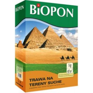 Kupujemy nasiona traw