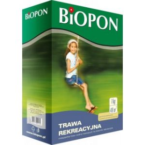 Kupujemy nasiona traw