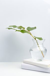 Taka zwykła gałązka w delikatnym wazonie