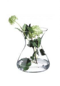 Taka zwykła gałązka w delikatnym wazonie