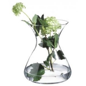 Taka zwykła gałązka w delikatnym wazonie