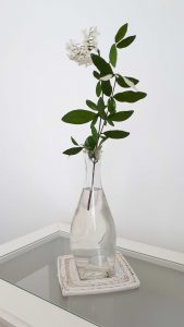 Taka zwykła gałązka w delikatnym wazonie