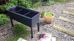 Warzywnik – łatwy sposób na ogrodową grządkę