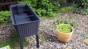 Warzywnik – łatwy sposób na ogrodową grządkę