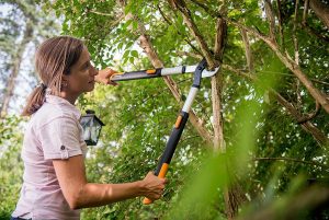 Ważne cięcie roślin, czyli wiosna z sekatorem
