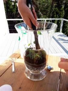 Ogród w wazonie – prosta i efektowna dekoracja