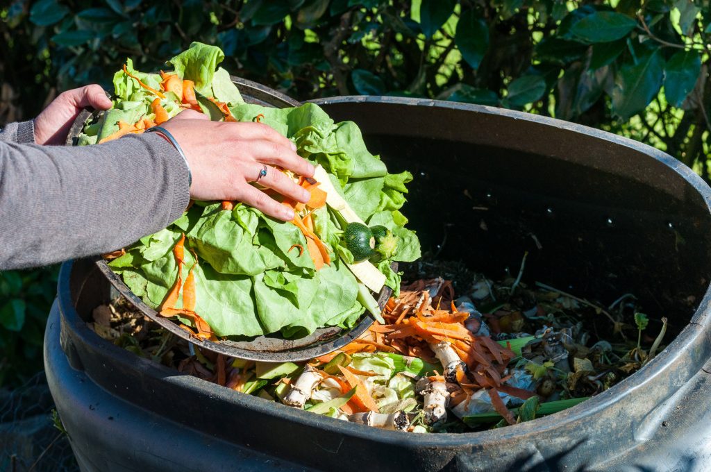 Kompost – nawóz naturalny