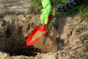Drobne narzędzia ogrodnicze – łopatki, pazurki i motyczki
