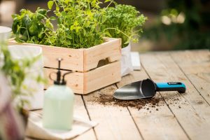 Drobne narzędzia ogrodnicze – łopatki, pazurki i motyczki